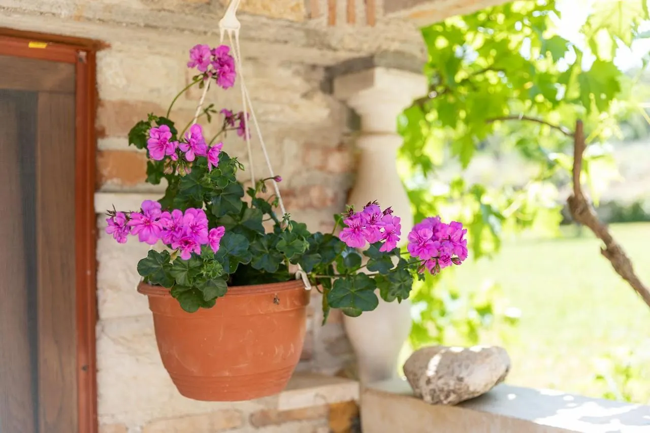 Holiday home Holiday House Hana Rovinj