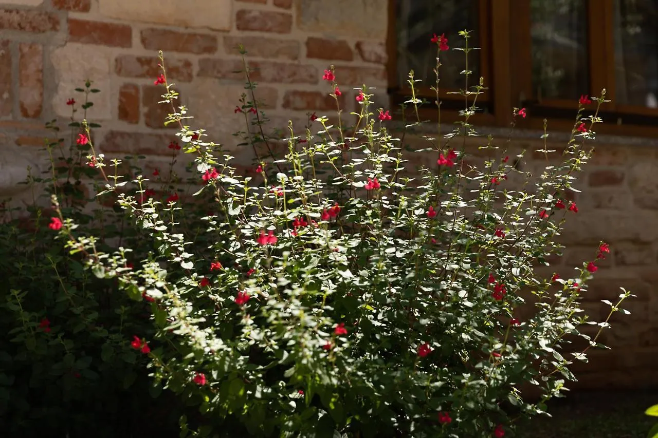 Holiday home Holiday House Hana Rovinj