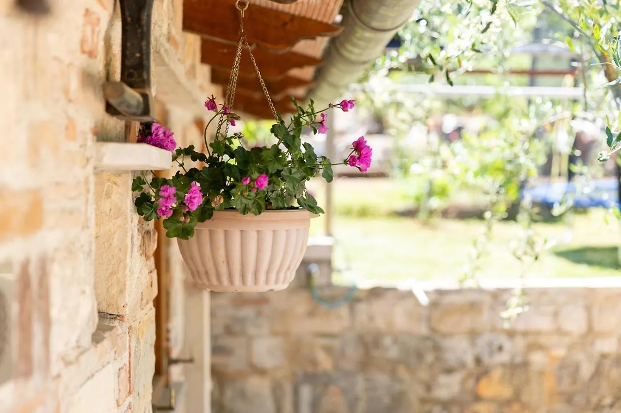 Holiday House Hana Rovinj 0*,